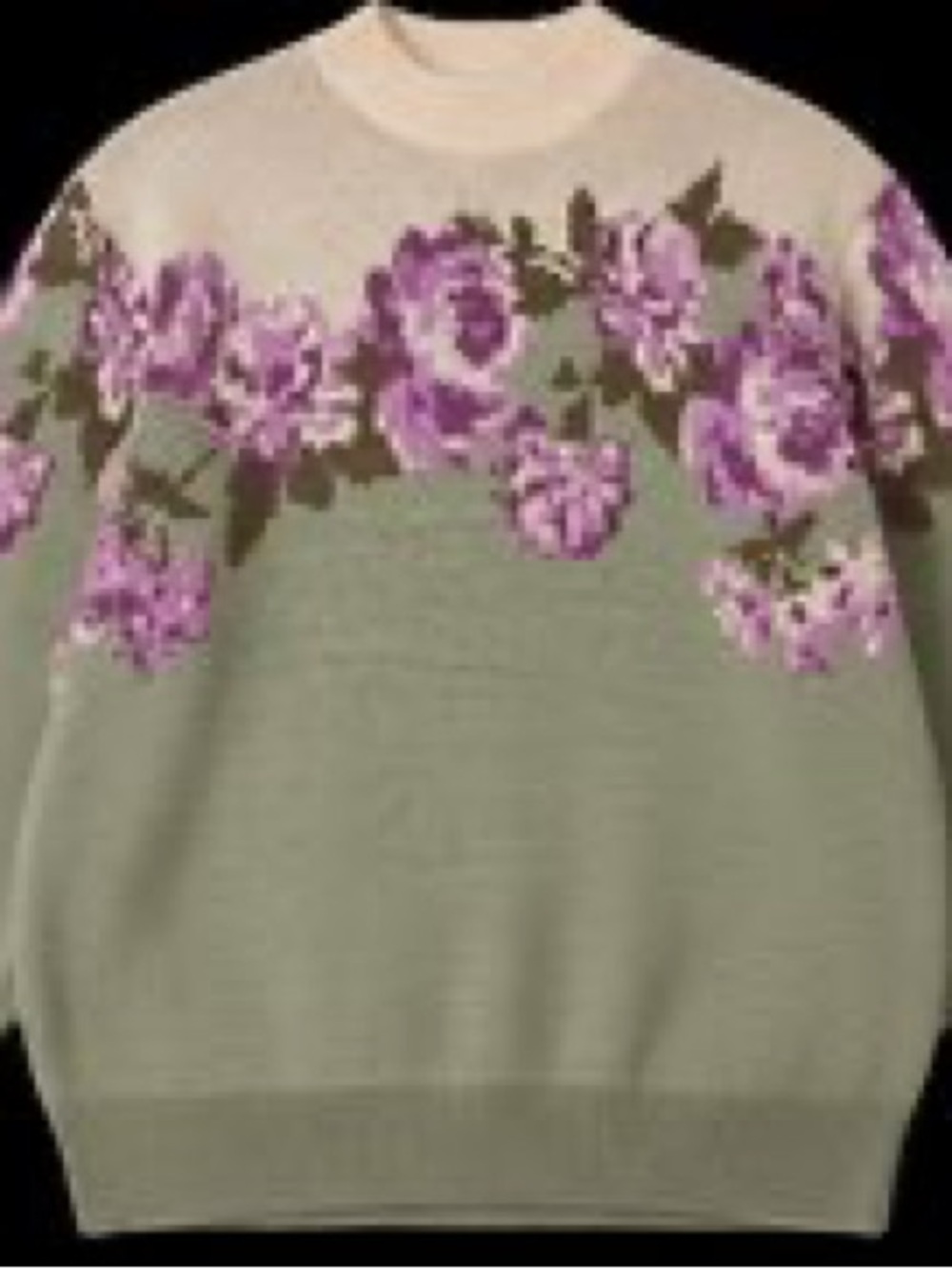 Cato Sage and Cream Crewneck Sweater with Purple Floral Yoke
